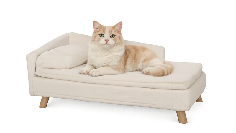 -CATS Soft Beds