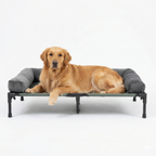 Elevated dog bed with cooling mesh and removable plush side support.