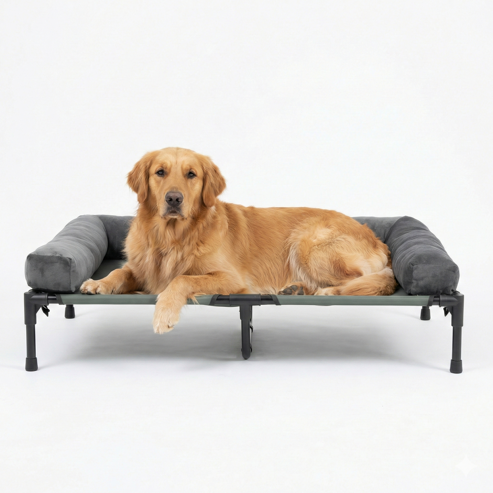 Elevated dog bed with cooling mesh and removable plush side support.