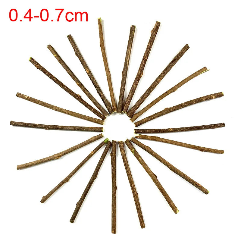 Natural Matatabi Cat Sticks 100pcs Silvervine Chew Toys for Dental Cleaning