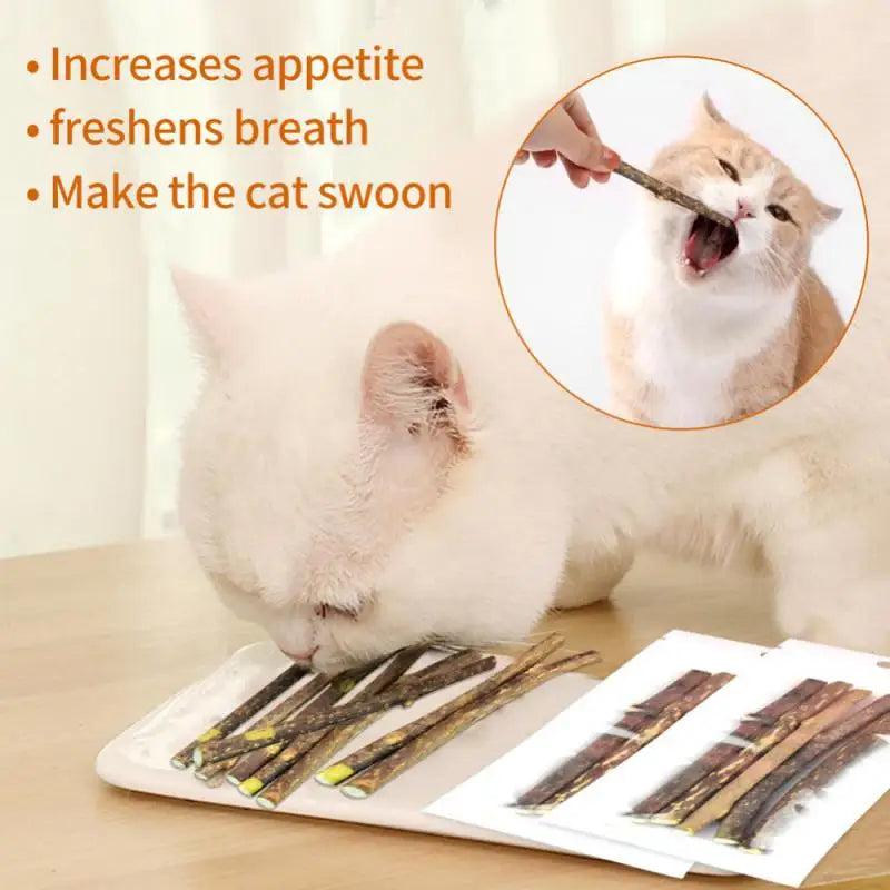 Natural Matatabi Cat Sticks 100pcs Silvervine Chew Toys for Dental Cleaning