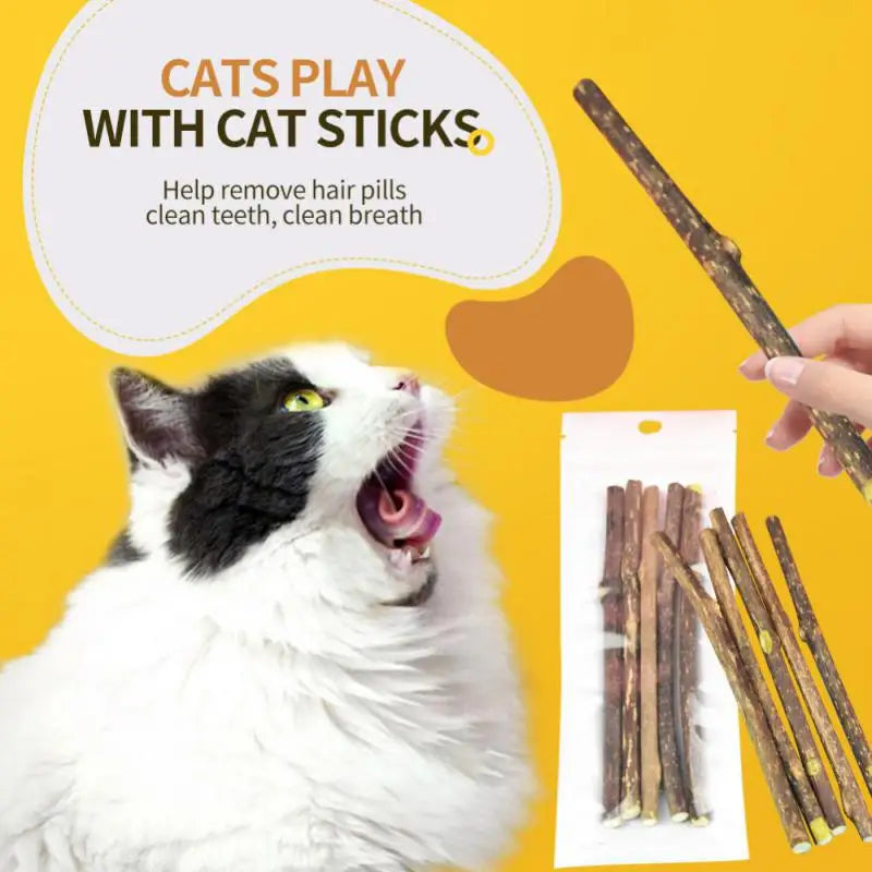 Natural Matatabi Cat Sticks 100pcs Silvervine Chew Toys for Dental Cleaning
