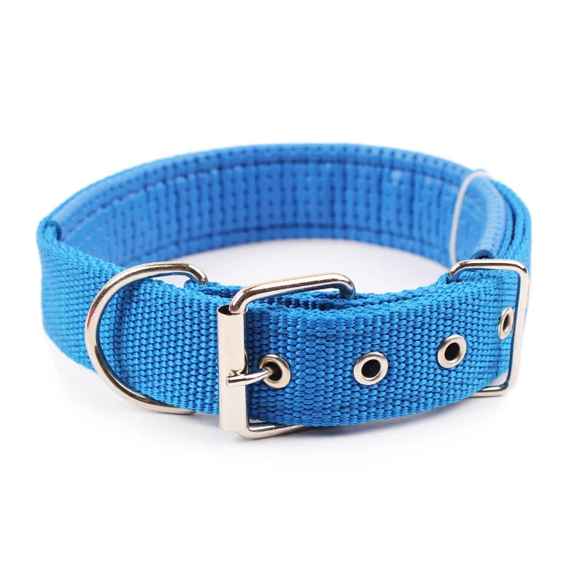 Solid Nylon Dog Collar for Small Medium & Large Dogs