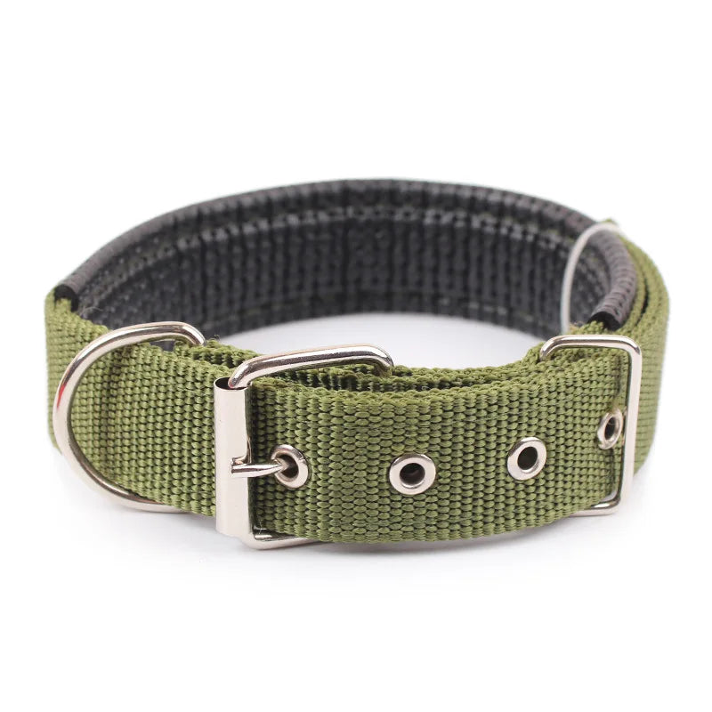 Solid Nylon Dog Collar for Small Medium & Large Dogs