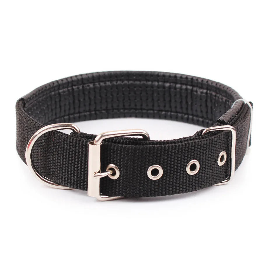 Solid Nylon Dog Collar for Small Medium & Large Dogs