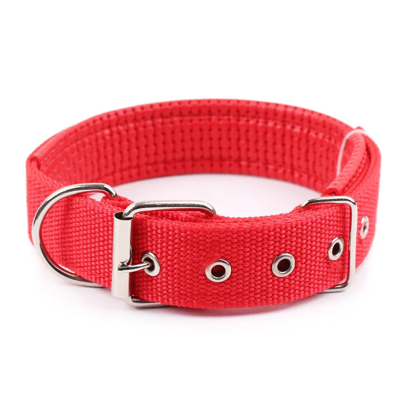 Solid Nylon Dog Collar for Small Medium & Large Dogs