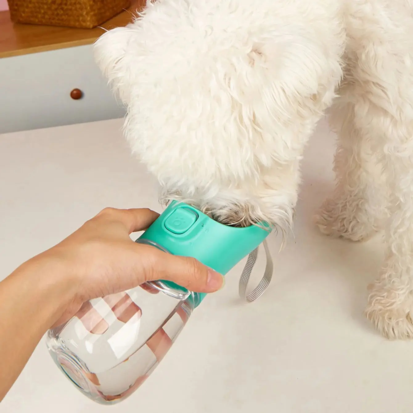 Portable Large Dog Water Bottle Leakproof Travel Bowl