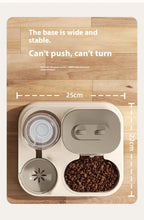 Dog & Cat Feeder and Waterer Set, Gravity Design, Spill-Proof