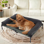 Elevated dog bed with cooling mesh and removable plush side support.