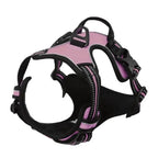 Collar and leash set for small and medium-sized dogs