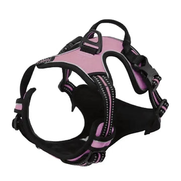 Collar and leash set for small and medium-sized dogs
