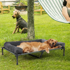 Elevated dog bed with cooling mesh and removable plush side support.