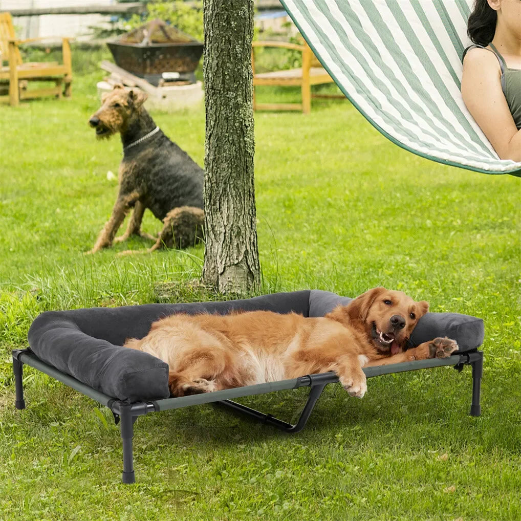 Elevated dog bed with cooling mesh and removable plush side support.