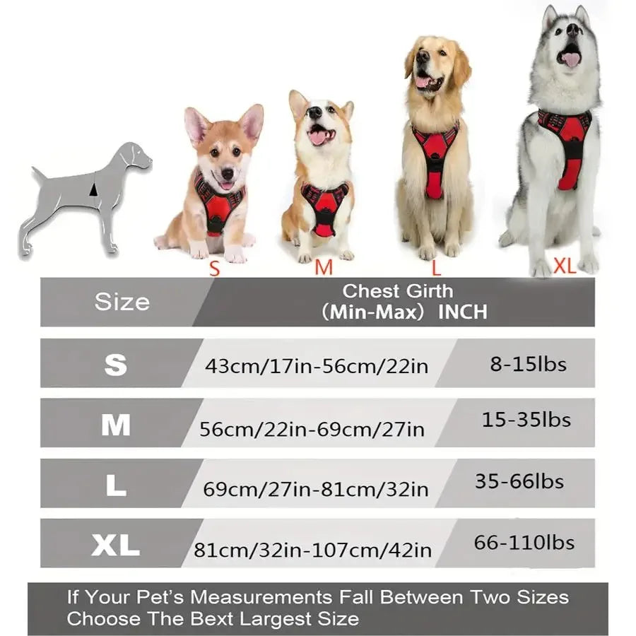 Collar and leash set for small and medium-sized dogs