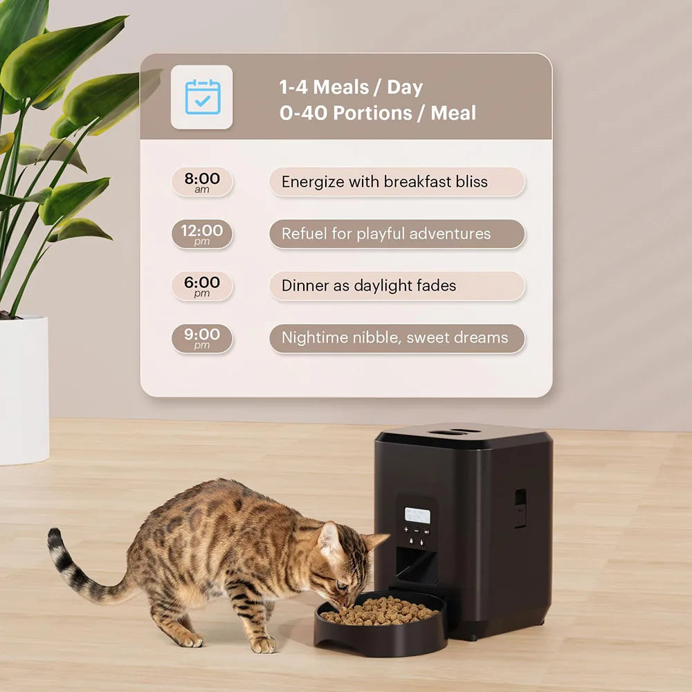 Smart automatic pet feeder Programmed slow feeding for dogs and cats