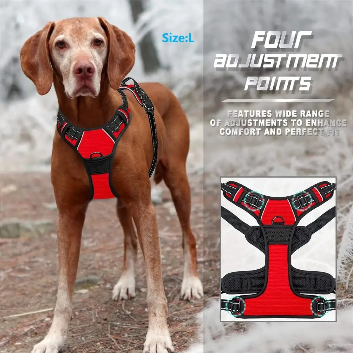 Collar and leash set for small and medium-sized dogs