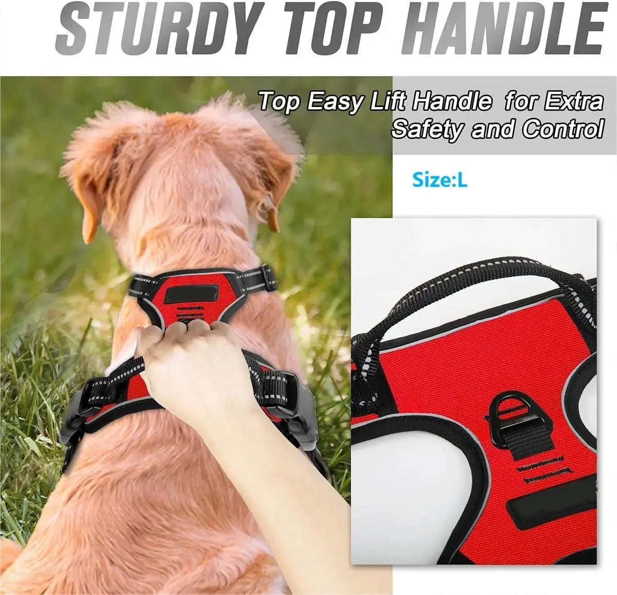 Collar and leash set for small and medium-sized dogs
