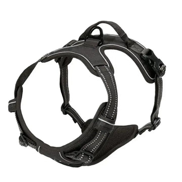 Collar and leash set for small and medium-sized dogs