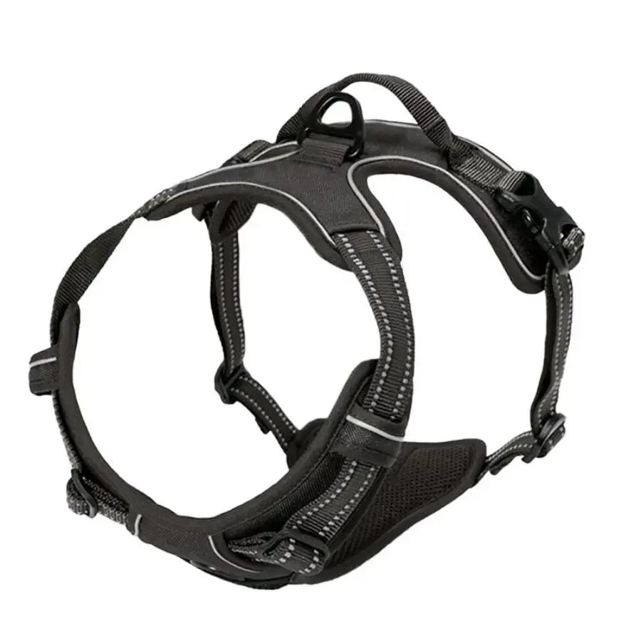Collar and leash set for small and medium-sized dogs