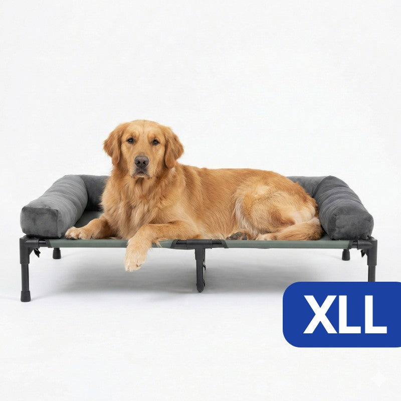 Elevated dog bed with cooling mesh and removable plush side support.